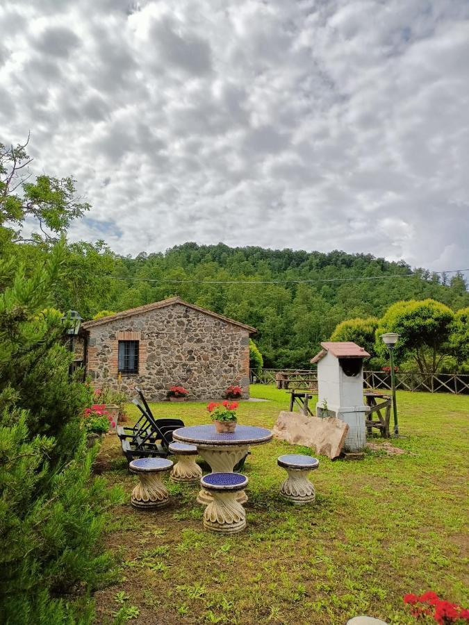 Meridiano 12 Bolsena Bagian luar foto